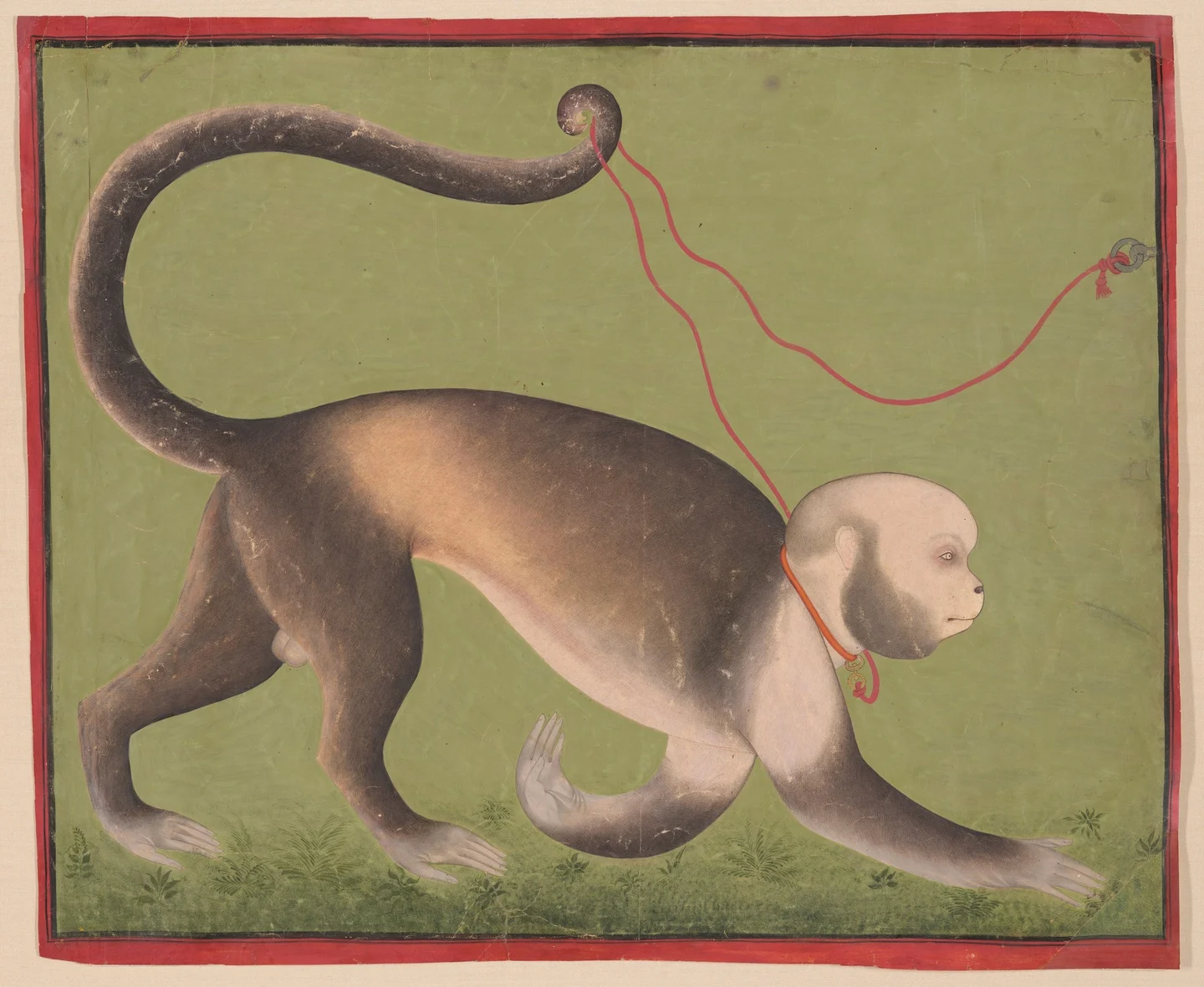 A Monumental Portrait of a Monkey — Attributed to Stipple Master