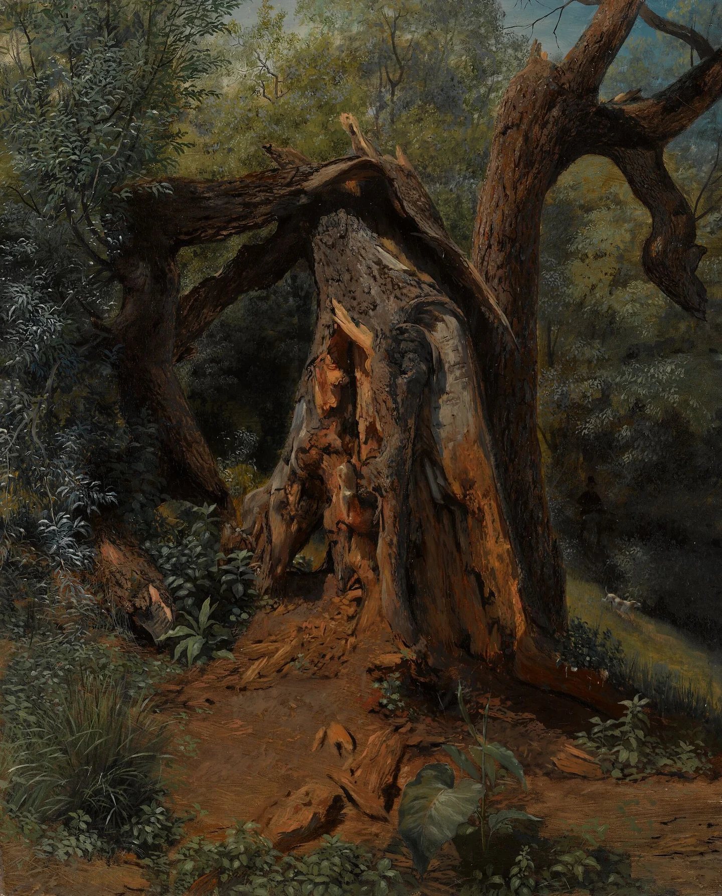 An Old Tree — Lev Lagorio