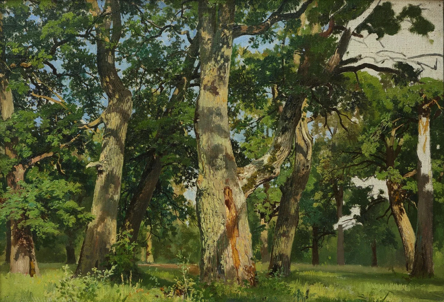 Oaks. Evening — Ivan Shishkin