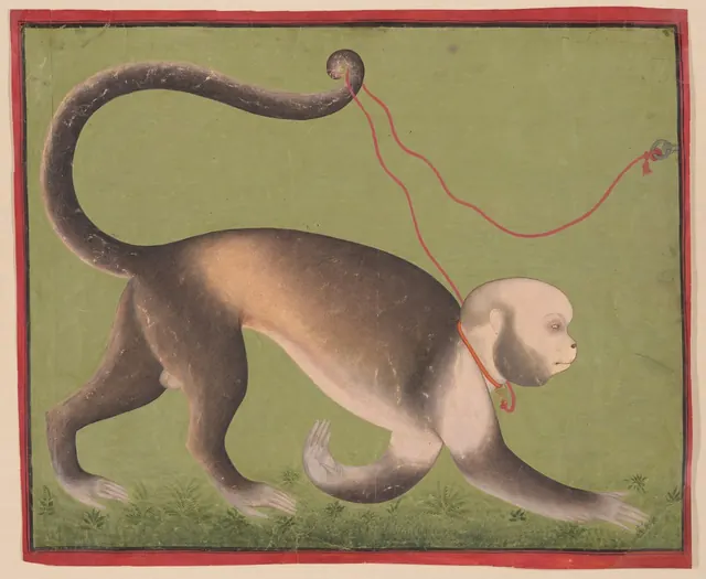 A Monumental Portrait of a Monkey — Attributed to Stipple Master